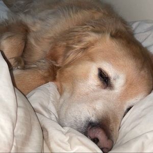 SPRING CLEANING CLOSET CLEANOUT